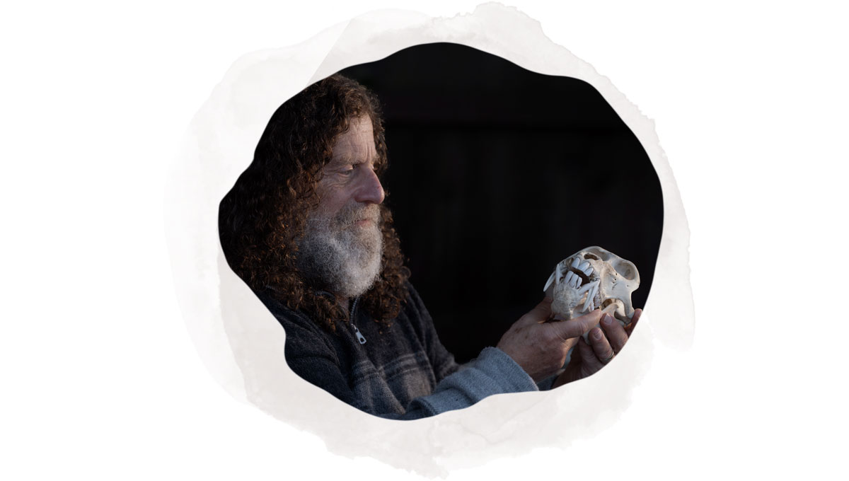 Sapolsky holds an animal skull.