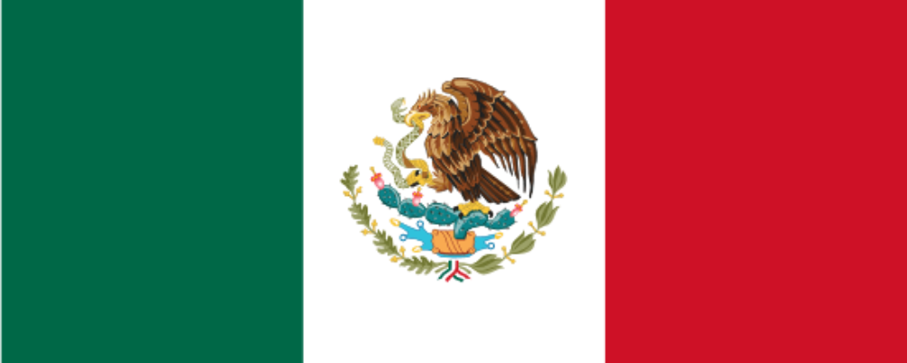 License Renewal Process for Providers of Outsourced Specialized Services in Mexico: 7 Frequently Asked Questions