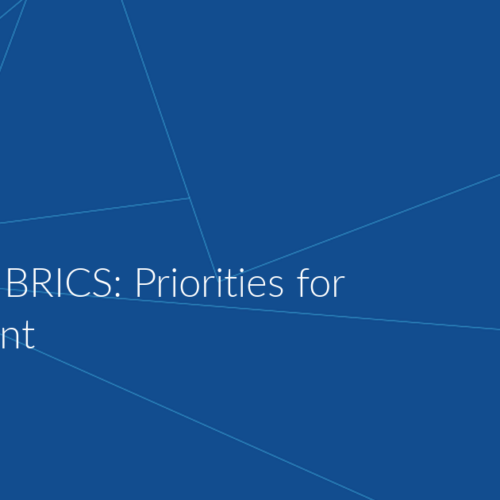 Egypt and BRICS: Priorities for Engagement