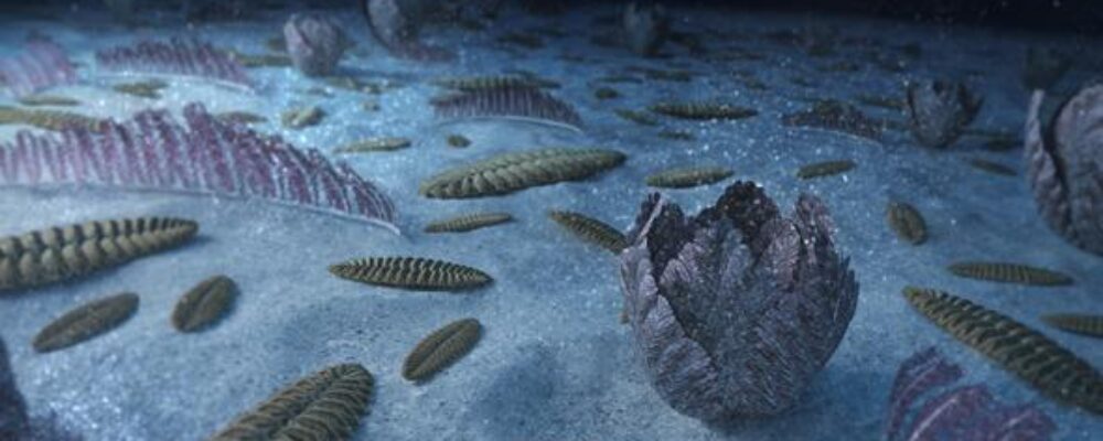 Earth’s earliest sea creatures drove evolution by stirring the water