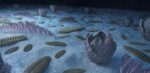 Read more about the article Earth’s earliest sea creatures drove evolution by stirring the water