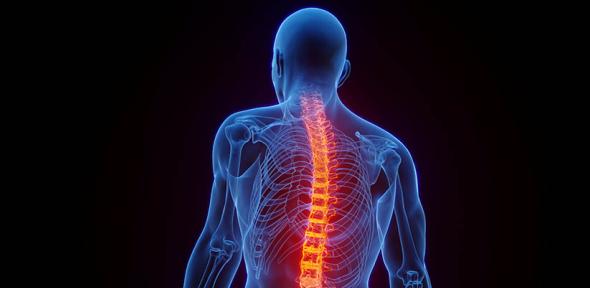 Read more about the article ‘Wraparound’ implants represent new approach to treating spinal cord injuries