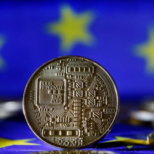 On the digital euro holding limits