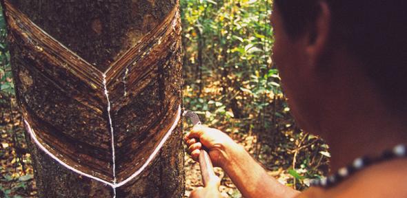 You are currently viewing A new way of thinking about the economy could help protect the Amazon, and help its people thrive