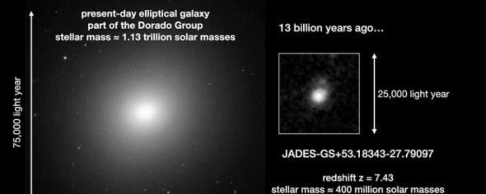 ‘Inside-out’ galaxy growth observed in the early universe