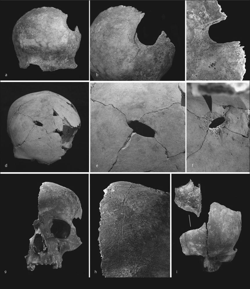 Nine panels showing fragments of Early Bronze Age skulls with holes caused by blunt force injuries and cut marks.