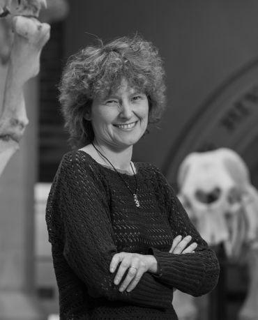 Professor EJ Milner-Gulland, a white woman with shoulder-length curly brown hair. She wears a black top and stands inside the Oxford University Museum of Natural History, by an elephant skeleton.