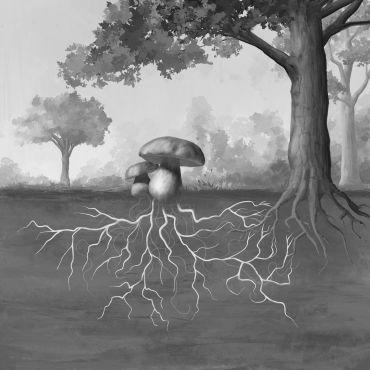 Illustration showing two mushrooms connected to the roots of a nearby tree through a network of underground thread-like branching structures known as hyphae.