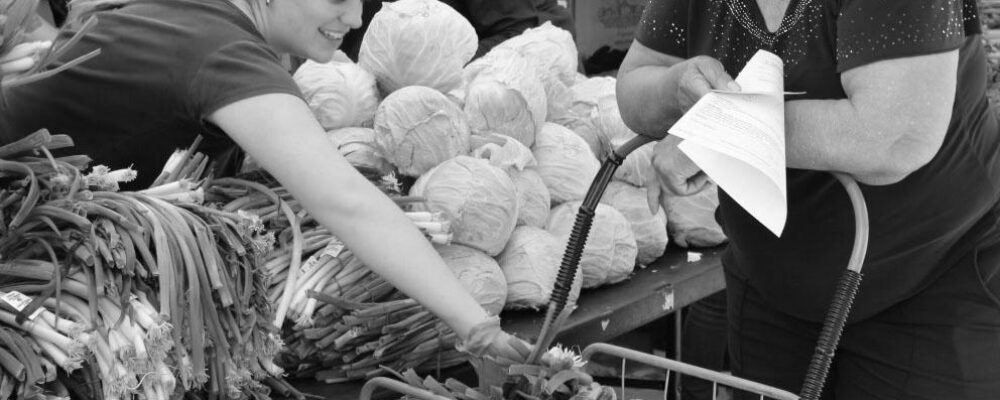 Student-led program redefines spring break with a focus on volunteer service